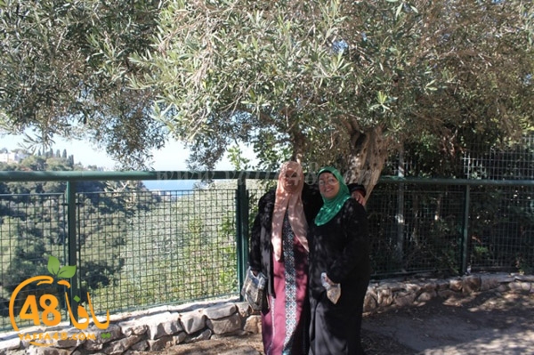 re7la 7eifa (59).JPG